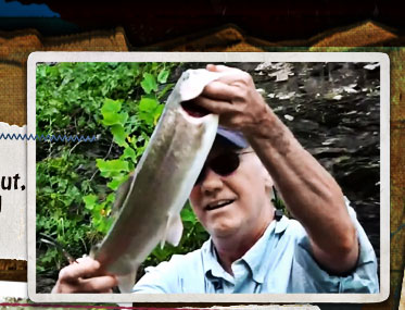 Fishing on a stream catching rainbow trout, smallmouth bass and redeyes...